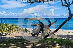 A view down a beach in Puerto Plata in the Dominion Republic