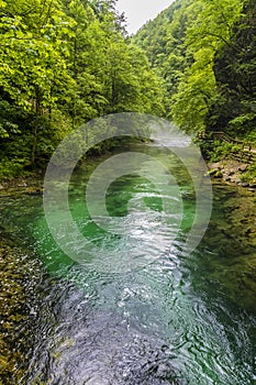 A view down a calmer section of the Radovna River in the Vintgar Gorge in Slovenia photo