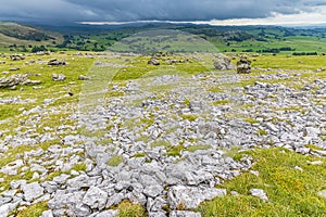 A view down over on limestone pavement on the southern slopes of Ingleborough, Yorkshire, UK