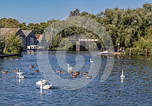 A view down the River Bure in the village of Hoveton and Wroxham on the Norfolk Broads