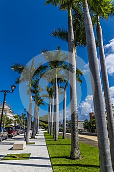 A view down the tree lined pavement of Constitutional Avenue in San Juan, Puerto Rico