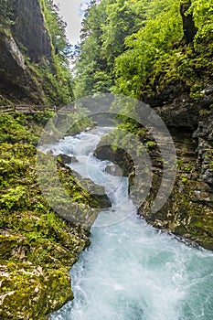 A view down the turbulent Radovna River as it surges over rapids in the Vintgar Gorge in Slovenia