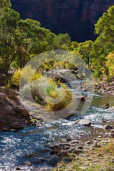 View down the Virgin River