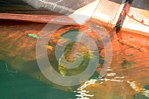 View down in the water with old ship.