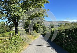 View down, Whitehall Lane, on a summers day in, Grindleton, Clitheroe, UK photo