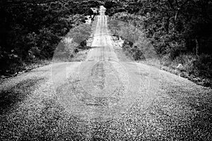 View Downhill on a Texas Country Backroad