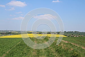 View downhill to oilseed field over farmland.