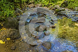 A view downriver from the Gendarme in the rain forest of Martinique