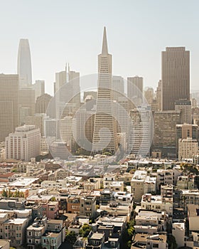 View of downtown from Coit Tower, San Francisco, California