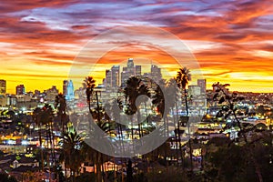 View of downtown Los Angeles skyline with palm trees at sunset in California United States