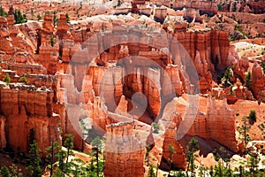 View of the dramatic red landscape Bryce Canyon National Park