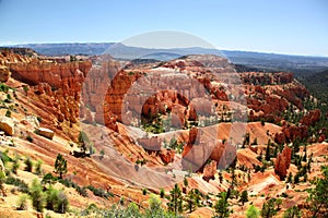 View of the dramatic red landscape Bryce Canyon National Park