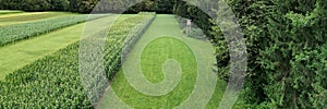 View with a drone of a beautfiul green farmland photo