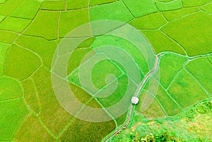 View from drone with a beautiful aerial nice scenery of green rice terraces