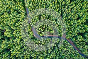 View from a drone on a bend in the road in the forest