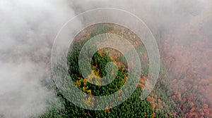 View from a drone to autumn forest through the fog in the Carpathian mountains