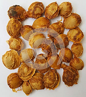 Dry apricot nut
