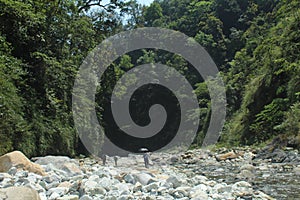 View of dry river and green trees