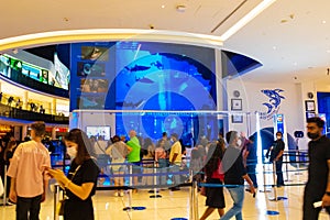 View of Dubai Aquarium Dubai Mall UAE