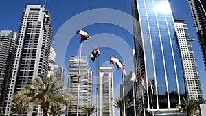 View of Dubai skyscrapers with UAE flags. United Arab Emirates flags waving on blue sky background.