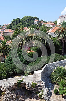 View of Dubrovnik city