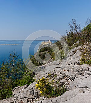 View of Duino Castle from the Rilke Trail in spring