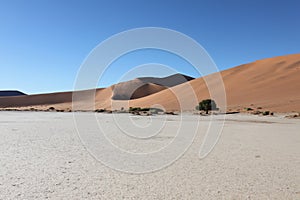 View of the Dune 45, Big Daddy, in the Namib-Naukluft National Park