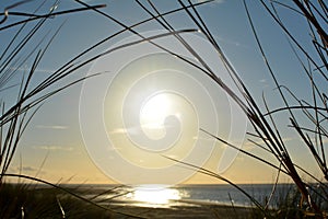 View through Dune grass to the sea at sunset