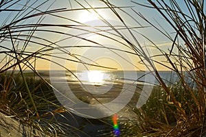 View through Dune grass to the sea at sunset