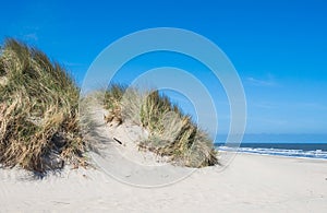 View on the dunes of Ameland, Holland