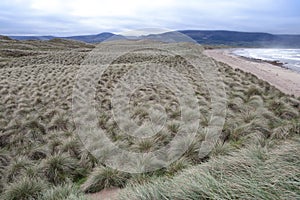 View of dunes at the maharees