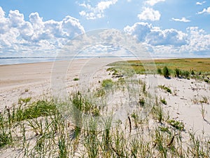 View of dunes with marram grass, salt marsh, beach and Waddensea from Frisian island Schiermonnikoog, Netherlands