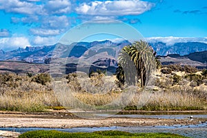 The dunes of Maspalomas and the nature reserve Charca de Maspalomas at Gran Canaria, Spain photo