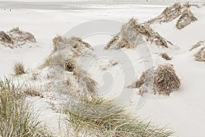 Beach on Romo island - Denmark photo