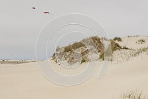 Dunes on Romo Island - Denmark. photo