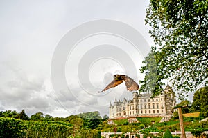 View of Dunrobin castle Scotland UK