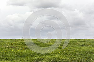 View on a Dutch landscape with an empty field or meadow with fresh green grass and an overcast grey sky