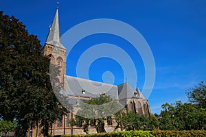 View on dutch neo gothic church from 18th century with green trees against blue summer sky - Baak, Sint Martinuskerk, Netherlands