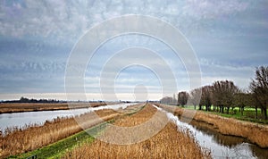 View on a Dutch polder