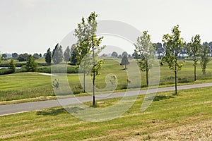 View on a Dutch scenic golf course, in the middle of the Netherlands, named Groene Hart