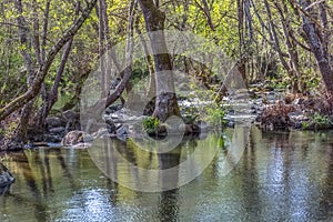 View of DÃÆo river, with trees, rocks and vegetation on the banks, reflections in the water and bright colors