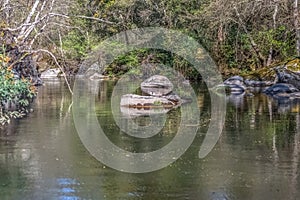 View of DÃƒo river, with trees, rocks and vegetation on the banks, reflections in the water and bright colors