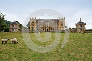 View of east Side of Montacute House including fields photo