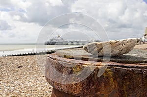 View of Eastbourne Beach Pier in the background of a sea shell on the beach in the Summer Sunshine