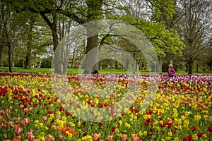 view of easter decorations in a tulip bed