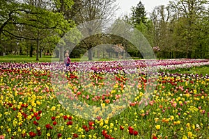 view of easter decorations in a tulip bed