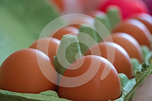 View of Easter eggs in a carton