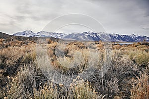 A View of the Eastern Sierra Nevada Mountains in the Dry Great Basin on a Cloudy Day