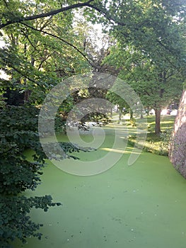 View of Ede-Wageningen, beautiful city in the Netherlands with an important university campus