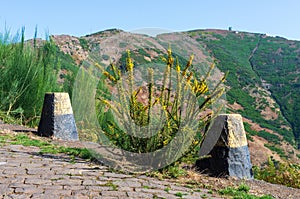 The view from edge of road to mountains